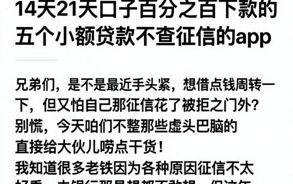 14天21天口子百分之百下款的,细致阐述五个小额贷款不查征信的app