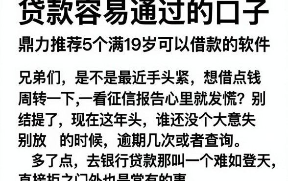 贷款容易通过的口子，鼎力推荐5个满19岁可以借款的软件