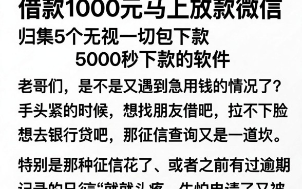 借款1000元马上放款微信,归集5个无视一切包下款5000秒下款的软件
