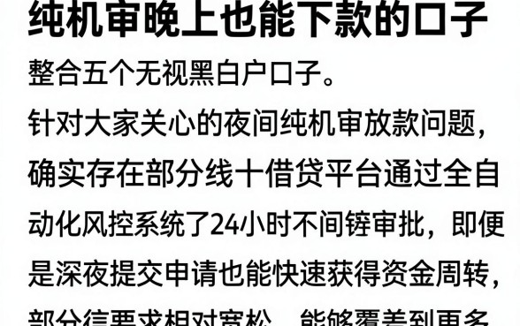 纯机审晚上也能下款的口子，整合五个无视黑白户口子