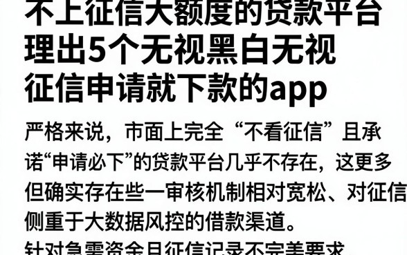 不上征信大额度的贷款平台,理出5个无视黑白无视征信申请就下款的app