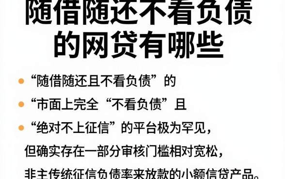 随借随还不看负债的网贷有哪些，枚举五个不上征信的贷款平台