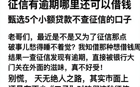 征信有逾期哪里还可以借钱,甄选5个小额贷款不查征信的口子