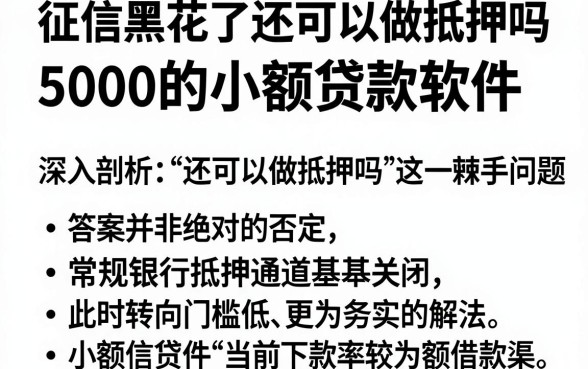 征信黑花了还可以做抵押吗,深入剖析5个1000至5000的小额贷款软件