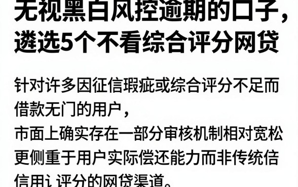 无视黑白风控逾期的口子，遴选5个不看综合评分的网贷
