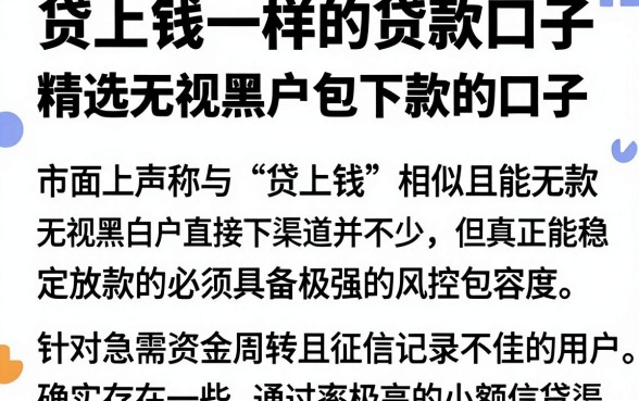 贷上钱一样的贷款口子,精选五个无视黑户包下款的口子