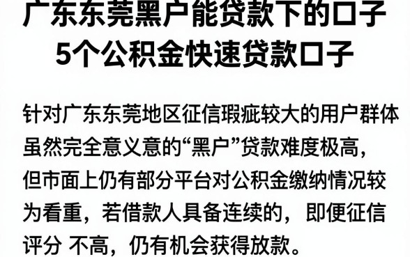 广东东莞黑户能贷款下的口子，概括5个公积金快速贷款口子