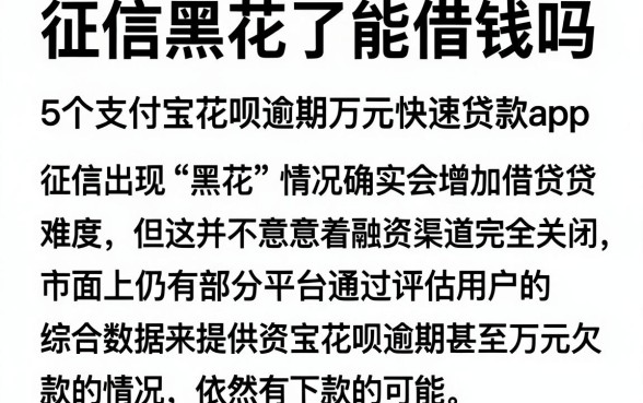 征信黑花了能借钱吗,概览5个支付宝花呗逾期万元快速贷款app