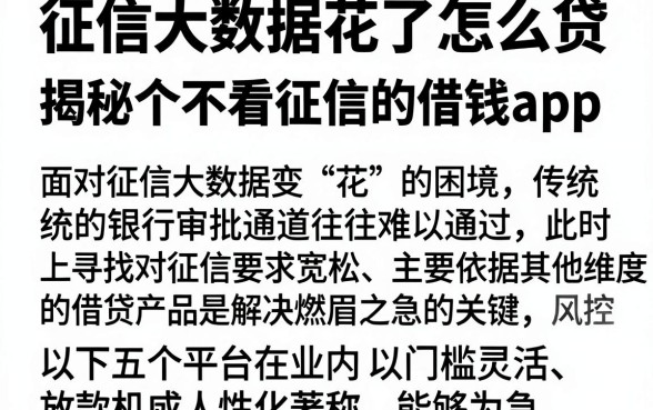 征信大数据花了怎么贷,揭秘五个不看征信的借钱app