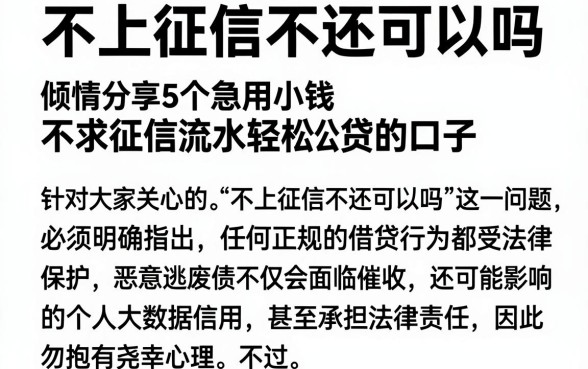 不上征信不还可以吗，倾情分享5个急用小钱不求征信流水轻松贷的口子