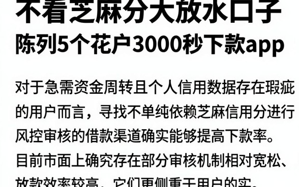 不看芝麻分大放水口子，陈列5个花户3000秒下款app