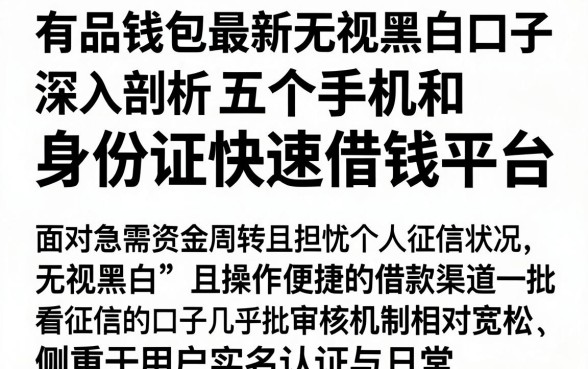 有品钱包最新无视黑白口子，深入剖析五个手机和身份证快速借钱平台