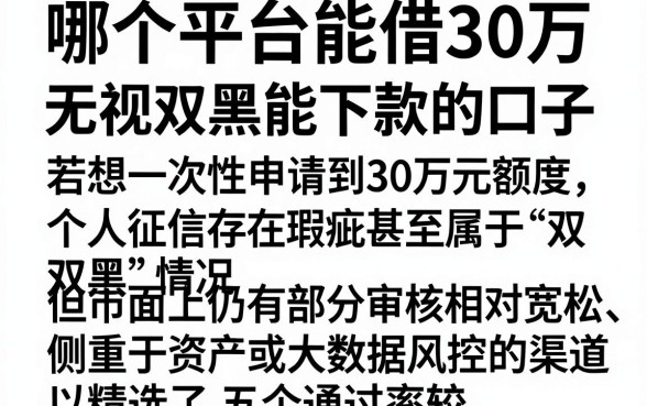 哪个平台能借30万，详细阐述五个无视双黑能下款的口子