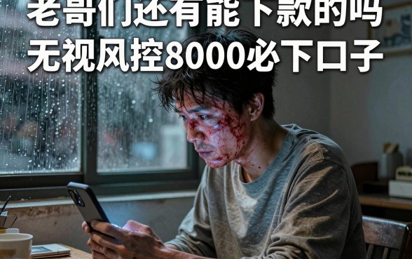 老哥们还有能下款的吗，整合五个无视风控8000必下口子