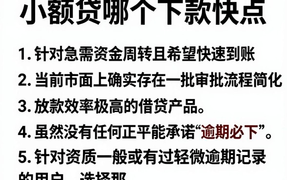 小额贷哪个下款快点，详细阐述五个逾期必下款的平台