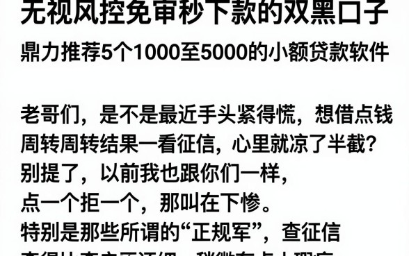 无视风控免审秒下款的双黑口子，鼎力推荐5个1000至5000的小额贷款软件