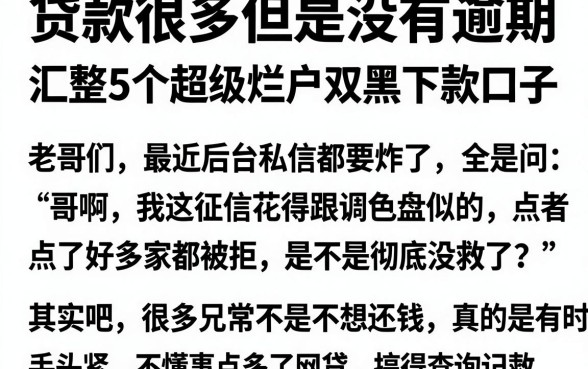 贷款很多但是没有逾期，汇整5个超级烂户双黑下款口子