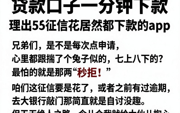 贷款口子一分钟下款，理出5个征信花居然都下款的app
