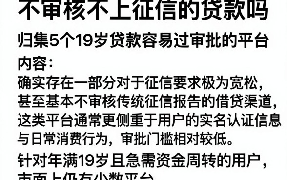 不审核不上征信的贷款吗,归集5个19岁贷款容易过审批的平台