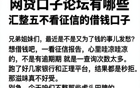 网贷口子论坛有哪些,汇整五个不看征信的借钱口子