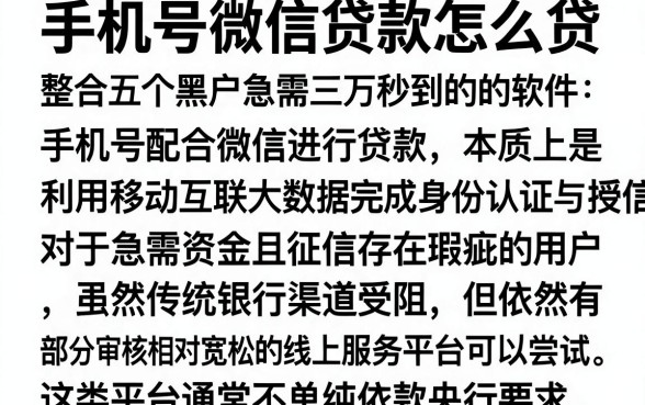 手机号微信贷款怎么贷,整合五个黑户急需三万秒到的的软件