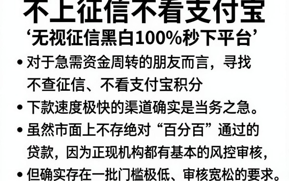 不上征信不看支付宝，条列五个无视征信黑白100%秒下平台