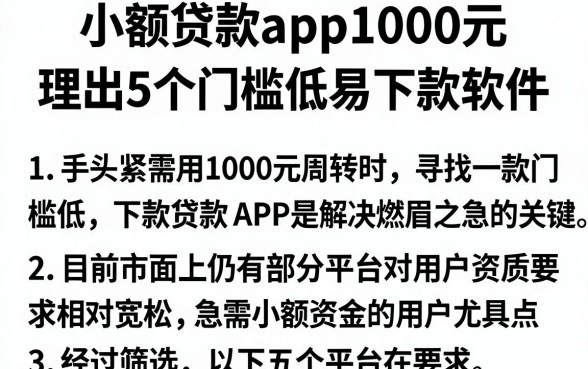 小额贷款app1000元，理出5个门槛低易下款软件