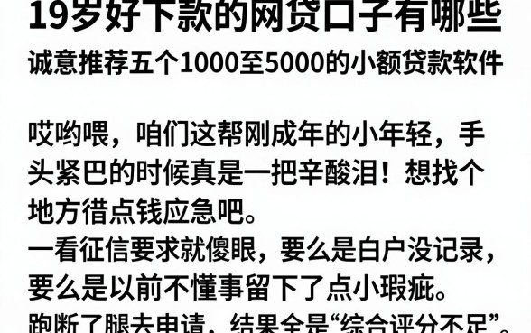 19岁好下款的网贷口子有哪些，诚意推荐五个1000至5000的小额贷款软件