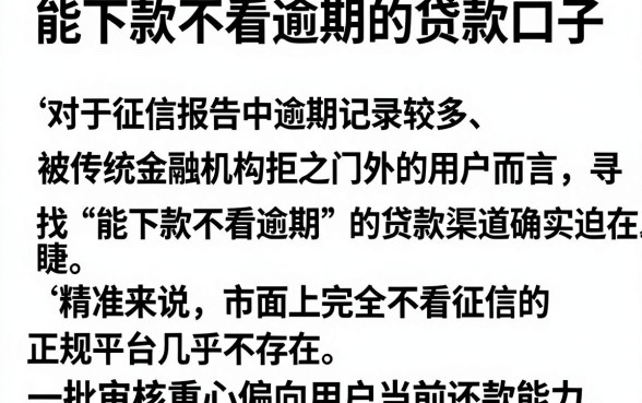 能下款不看逾期的贷款口子,详细阐述五个逾期太多能下款平台