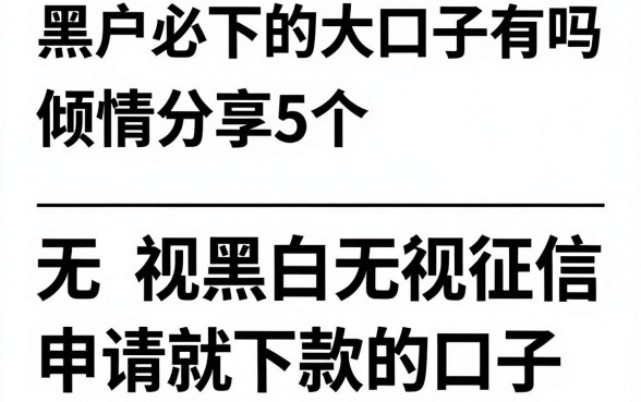 黑户必下的大口子有吗，倾情分享5个无视黑白无视征信申请就下款的口子