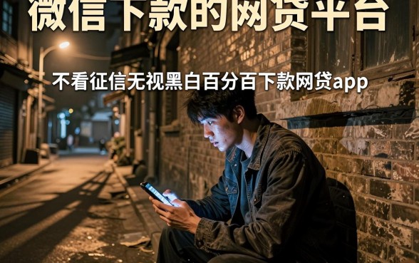 微信下款的网贷平台，枚举五个不看征信无视黑白百分百下款网贷app