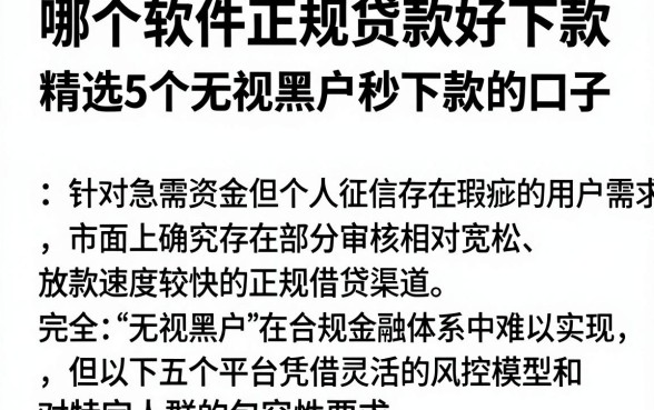 哪个软件正规贷款好下款,精选5个无视黑户秒下款的口子