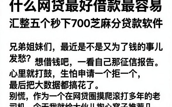 什么网贷最好借款最容易,汇整五个秒下700芝麻分贷款软件