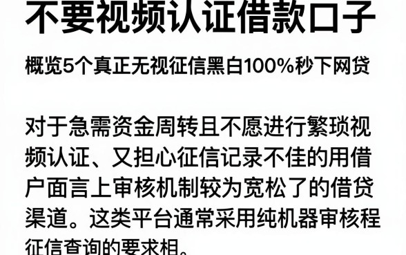 不要视频认证借款口子,概览5个真正无视征信黑白100%秒下网贷