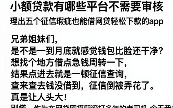 小额贷款有哪些平台不需要审核,理出五个征信瑕疵也能借网贷轻松下款的app