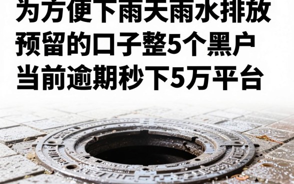 为方便下雨天雨水排放预留的口子，汇整5个黑户当前逾期秒下5万平台