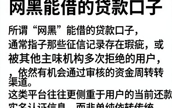 网黑能借的贷款口子，详尽说明5个黑户成功获取大额贷款的平台