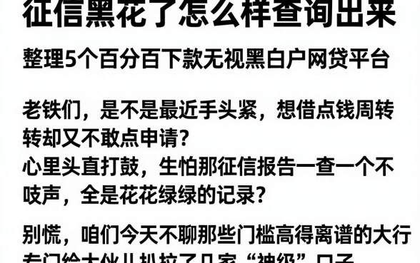 征信黑花了怎么样查询出来，整理5个百分百下款无视黑白户网贷平台