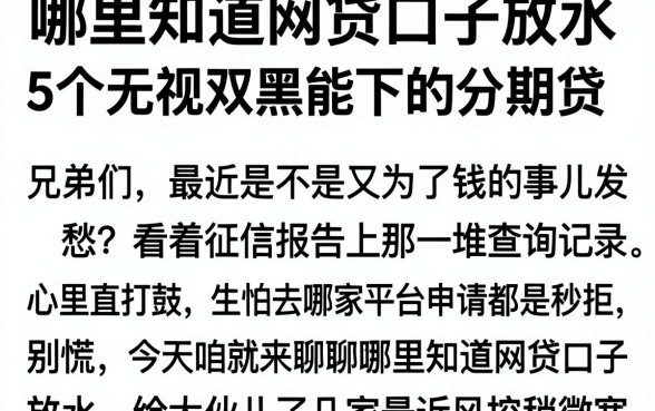 哪里知道网贷口子放水，详尽说明5个无视双黑能下的分期贷