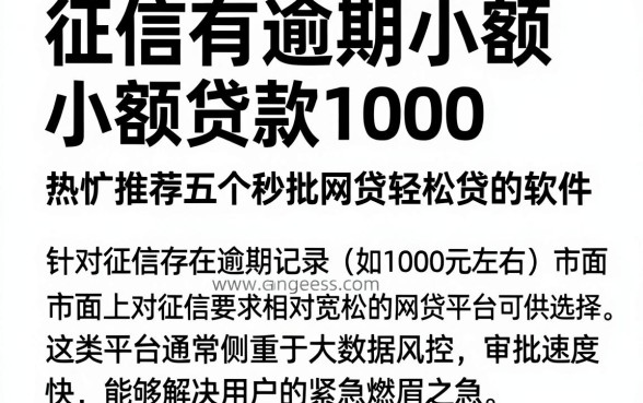 征信有逾期小额小额贷款1000，热忱推荐五个秒批网贷轻松贷的软件