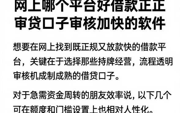 网上哪个平台好借款正规，理出五个审贷口子审核加快的软件