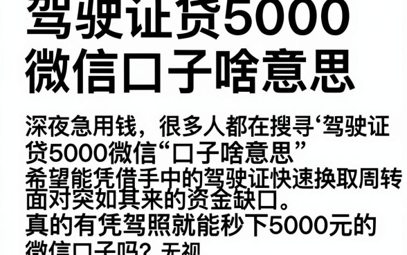 驾驶证贷5000微信口子啥意思,热忱推荐5个无视黑白100%秒下网贷小额夜间口子