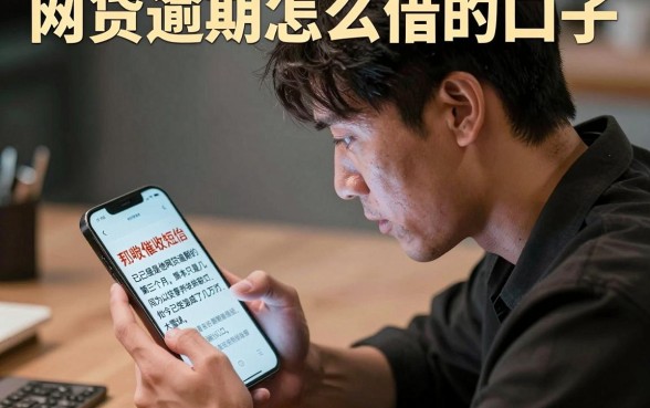 网贷逾期怎么借的口子,归纳五个无视评分的贷款平台