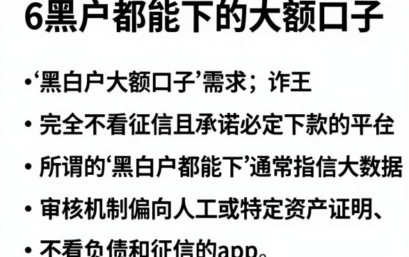 6个黑白户都能下的大额口子,胪列五个不看负债和征信的app