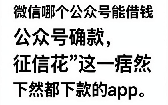 微信哪个公众号能借钱，归集五个征信花居然都下款的app