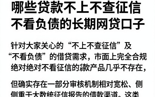 哪些贷款不上不查征信,理出5个不看负债的长期网贷口子