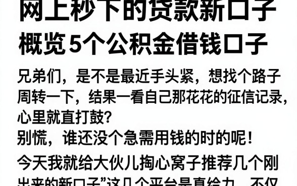 网上秒下的贷款新口子，概览5个公积金借钱口子