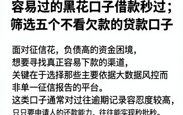 容易过的黑花口子借款秒过，筛选五个不看欠款的贷款口子