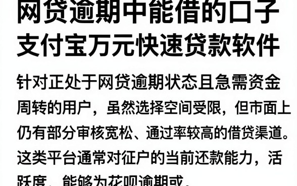 网贷逾期中能借的口子,规整五个支付宝花呗逾期万元快速贷款软件