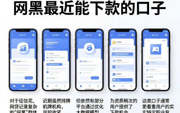 网黑最近能下款的口子,陈列五个手机上可以借钱的软件